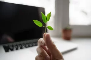 Importanza della sostenibilità digitale tra presenza online delle aziende e ambiente